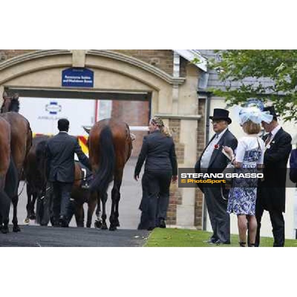 The Ribblesdale Stakes - Felice Villa Ascot, Royal Ascot 19th june 2014 ph.Stefano Grasso