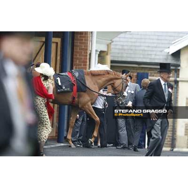 The Ribblesdale Stakes - Final Score Ascot, Royal Ascot 19th june 2014 ph.Stefano Grasso