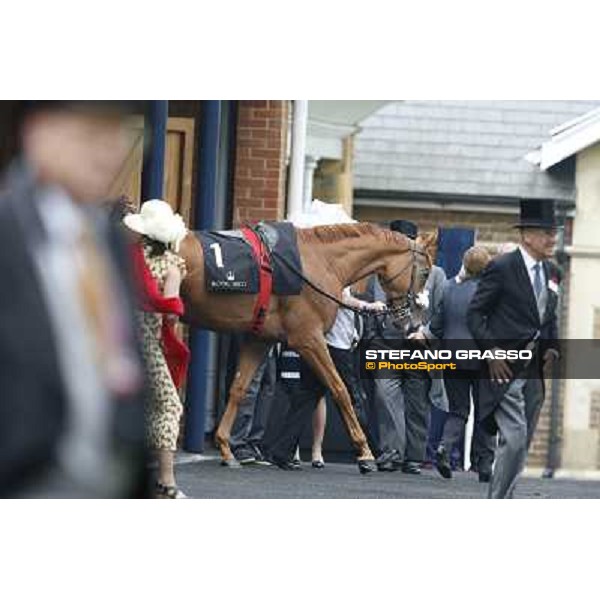 The Ribblesdale Stakes - Final Score Ascot, Royal Ascot 19th june 2014 ph.Stefano Grasso