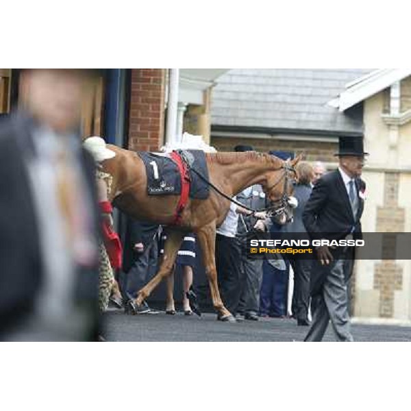 The Ribblesdale Stakes - Final Score Ascot, Royal Ascot 19th june 2014 ph.Stefano Grasso