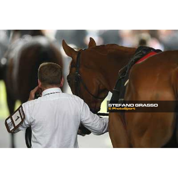 The Ribblesdale Stakes - Final Score Ascot, Royal Ascot 19th june 2014 ph.Stefano Grasso
