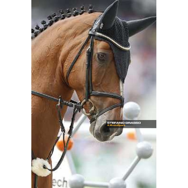 Sheihk Ali bin Khalid Al Thani on Vienna Olympic