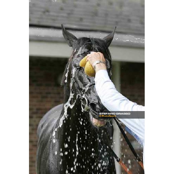 Songlark York, The Ebor Meeting - 16th august 2005 ph. Stefano Grasso