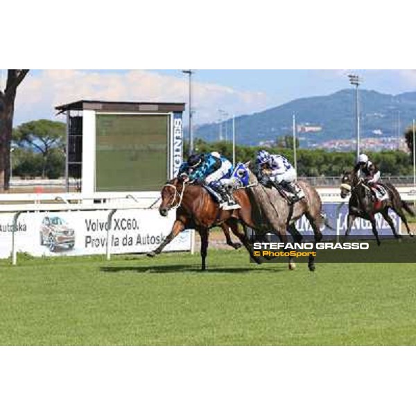 Dark Ray - Dettori Francesco - Premio Maria Pia Cetorelli Rome,14th sept.2014 ph.Domenico Savi/Grasso