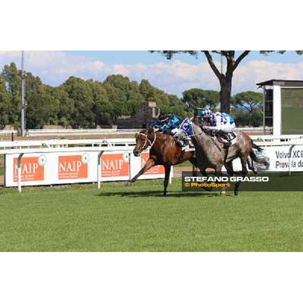 Dark Ray - Dettori Francesco - Premio Maria Pia Cetorelli Rome,14th sept.2014 ph.Domenico Savi/Grasso