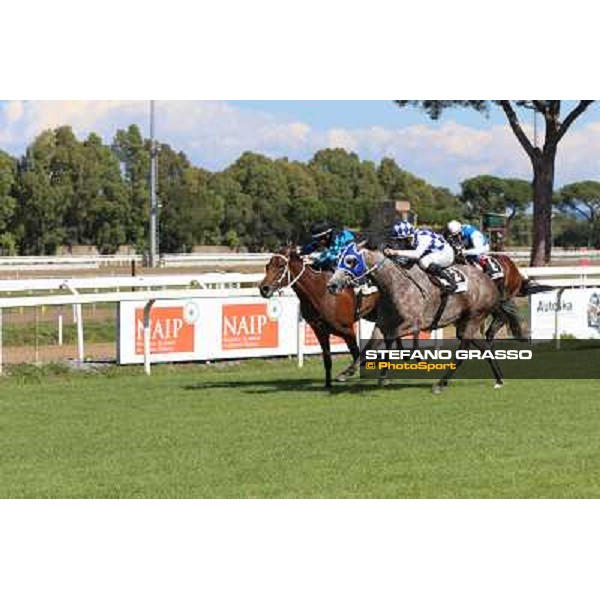 Dark Ray - Dettori Francesco - Premio Maria Pia Cetorelli Rome,14th sept.2014 ph.Domenico Savi/Grasso