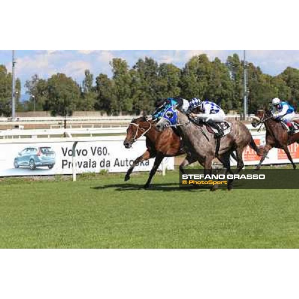 Dark Ray - Dettori Francesco - Premio Maria Pia Cetorelli Rome,14th sept.2014 ph.Domenico Savi/Grasso