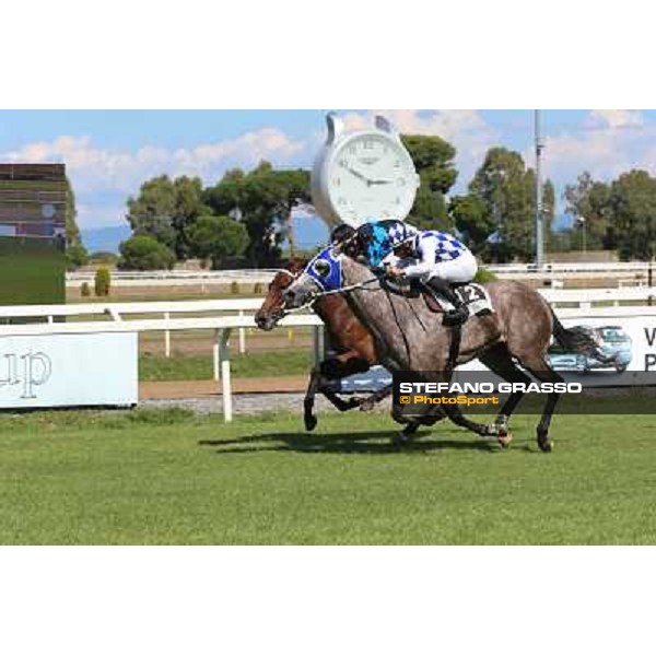 Dark Ray - Dettori Francesco - Premio Maria Pia Cetorelli Rome,14th sept.2014 ph.Domenico Savi/Grasso