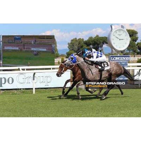 Dark Ray - Dettori Francesco - Premio Maria Pia Cetorelli Rome,14th sept.2014 ph.Domenico Savi/Grasso