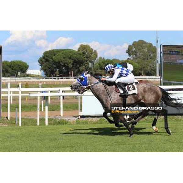 Dark Ray - Dettori Francesco - Premio Maria Pia Cetorelli Rome,14th sept.2014 ph.Domenico Savi/Grasso