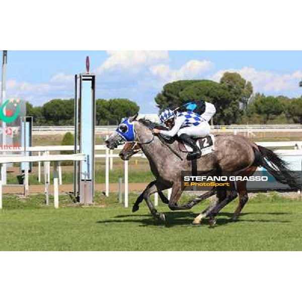 Dark Ray - Dettori Francesco - Premio Maria Pia Cetorelli Rome,14th sept.2014 ph.Domenico Savi/Grasso