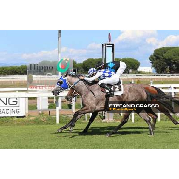 Dark Ray - Dettori Francesco - Premio Maria Pia Cetorelli Rome,14th sept.2014 ph.Domenico Savi/Grasso