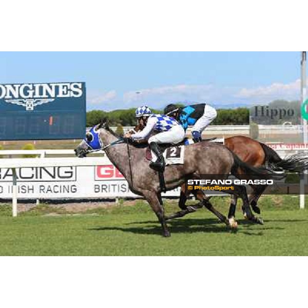 Dark Ray - Dettori Francesco - Premio Maria Pia Cetorelli Rome,14th sept.2014 ph.Domenico Savi/Grasso