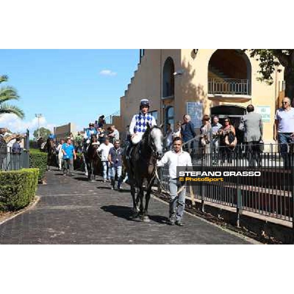 Dark Ray - Dettori Francesco - Premio Maria Pia Cetorelli Rome,14th sept.2014 ph.Domenico Savi/Grasso