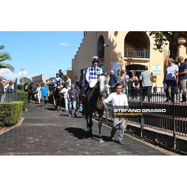 Dark Ray - Dettori Francesco - Premio Maria Pia Cetorelli Rome,14th sept.2014 ph.Domenico Savi/Grasso