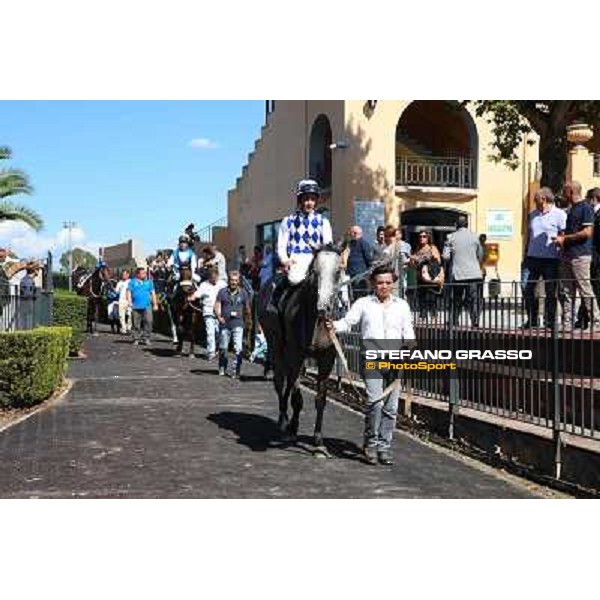 Dark Ray - Dettori Francesco - Premio Maria Pia Cetorelli Rome,14th sept.2014 ph.Domenico Savi/Grasso