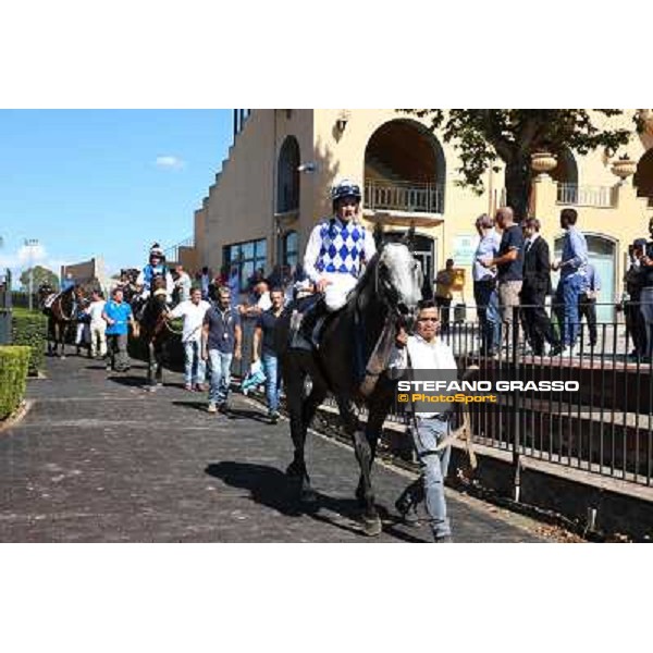 Dark Ray - Dettori Francesco - Premio Maria Pia Cetorelli Rome,14th sept.2014 ph.Domenico Savi/Grasso