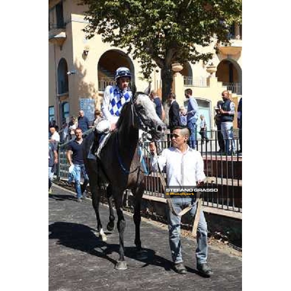 Dark Ray - Dettori Francesco - Premio Maria Pia Cetorelli Rome,14th sept.2014 ph.Domenico Savi/Grasso