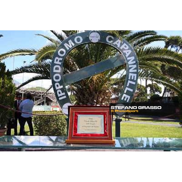 Dark Ray - Dettori Francesco - Premio Maria Pia Cetorelli Rome,14th sept.2014 ph.Domenico Savi/Grasso