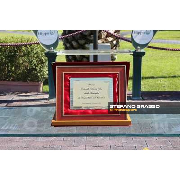 Dark Ray - Dettori Francesco - Premio Maria Pia Cetorelli Rome,14th sept.2014 ph.Domenico Savi/Grasso