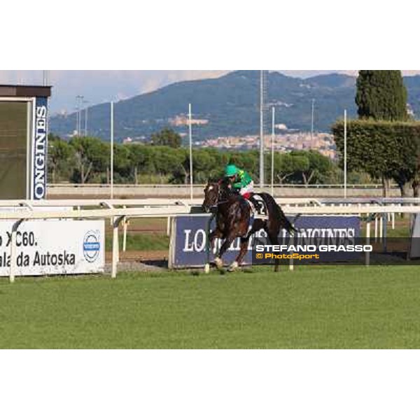 Monte Fanum - Antonio Polli - Premio Trafoi Rome,14th sept.2014 ph.Domenico Savi/Grasso
