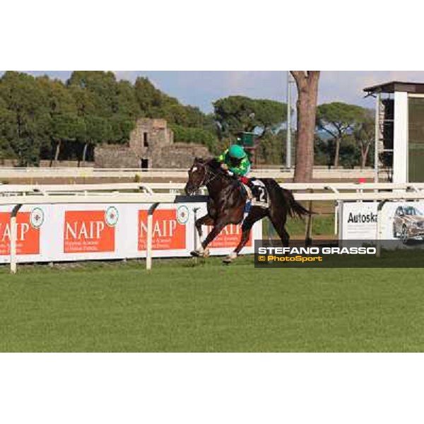 Monte Fanum - Antonio Polli - Premio Trafoi Rome,14th sept.2014 ph.Domenico Savi/Grasso
