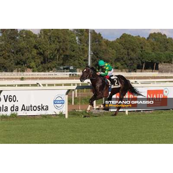 Monte Fanum - Antonio Polli - Premio Trafoi Rome,14th sept.2014 ph.Domenico Savi/Grasso