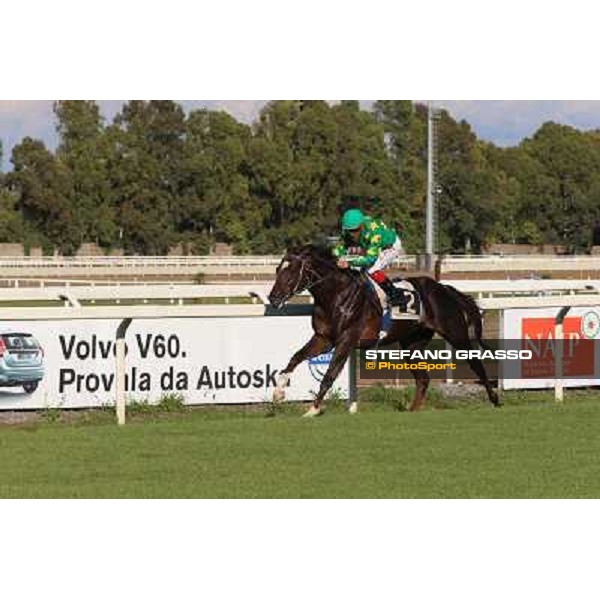 Monte Fanum - Antonio Polli - Premio Trafoi Rome,14th sept.2014 ph.Domenico Savi/Grasso