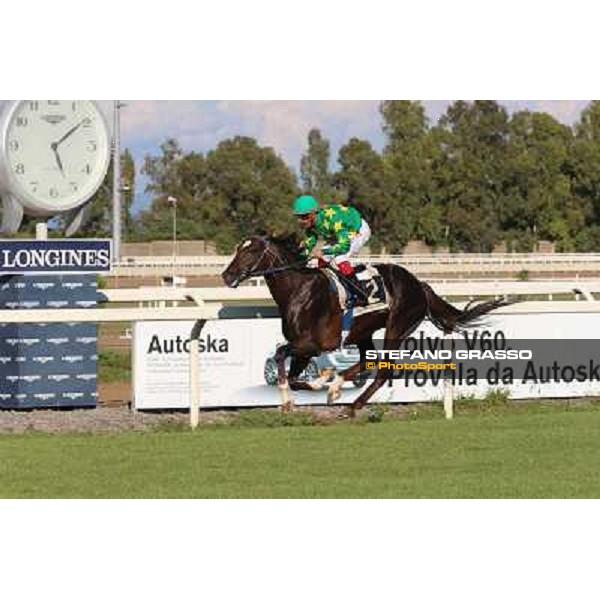 Monte Fanum - Antonio Polli - Premio Trafoi Rome,14th sept.2014 ph.Domenico Savi/Grasso