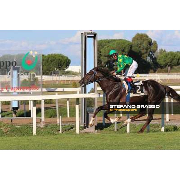 Monte Fanum - Antonio Polli - Premio Trafoi Rome,14th sept.2014 ph.Domenico Savi/Grasso