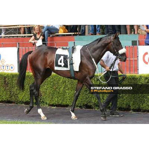 Roma 21 Settembre 2014 Capannelle Racecourse Goldstream Premio Chiese ph. Domenico Savi/Grasso