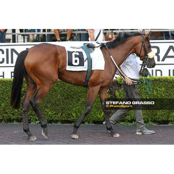 Roma 21 Settembre 2014 Capannelle Racecourse Carlo Fiocchi on Promissory Note wins Premio Epidendrum EFFEVI ph. Domenico Savi/Grasso