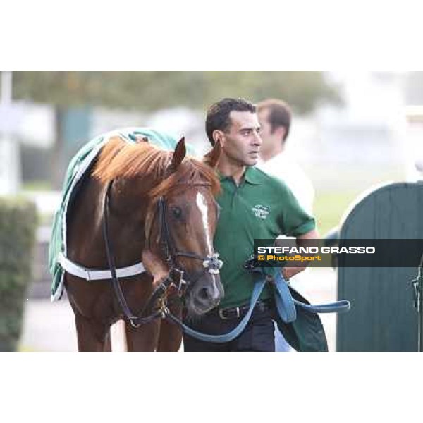 Dario Vargiu and Priore Philip win the Premio Vittorio di Capua Milano,San Siro racecourse,28th sept.2014 ph.Stefano Grasso/Trenno