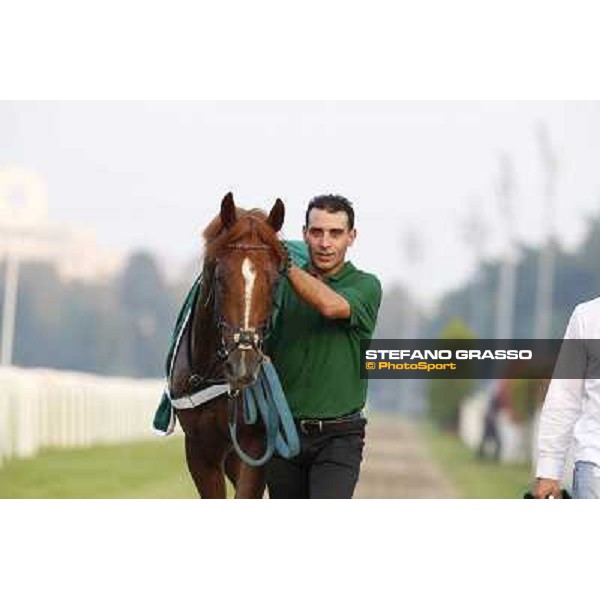 Dario Vargiu and Priore Philip win the Premio Vittorio di Capua Milano,San Siro racecourse,28th sept.2014 ph.Stefano Grasso/Trenno