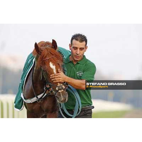 Dario Vargiu and Priore Philip win the Premio Vittorio di Capua Milano,San Siro racecourse,28th sept.2014 ph.Stefano Grasso/Trenno
