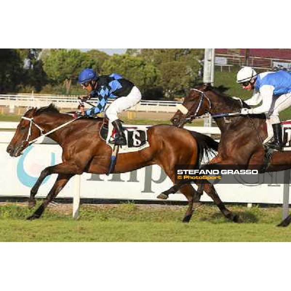 Roma 28 Settembre 2014 Capannelle Racecourse LISTED RACE Samuele Diana with Lucky Serena wins Premio Archidamia ph. Domenico Savi/Grasso