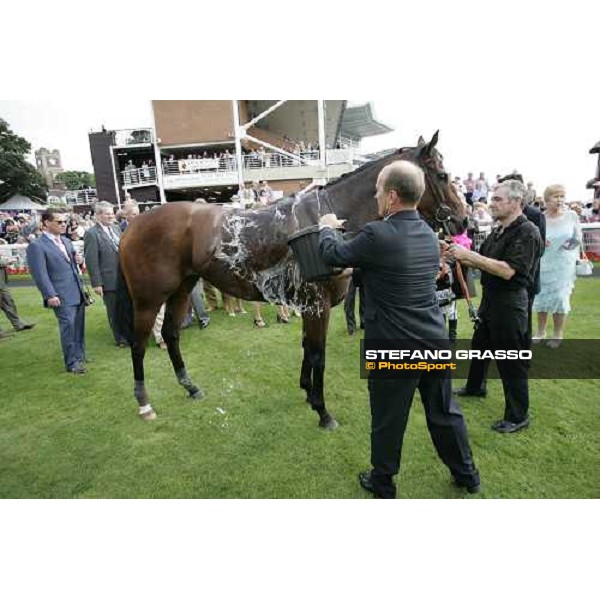 a shower for La Cucaracha winner of the VC Bet Nunthorpe Stakes beating The Tatling York, The Ebor Festival 18th august 2005 ph. Stefano Grasso