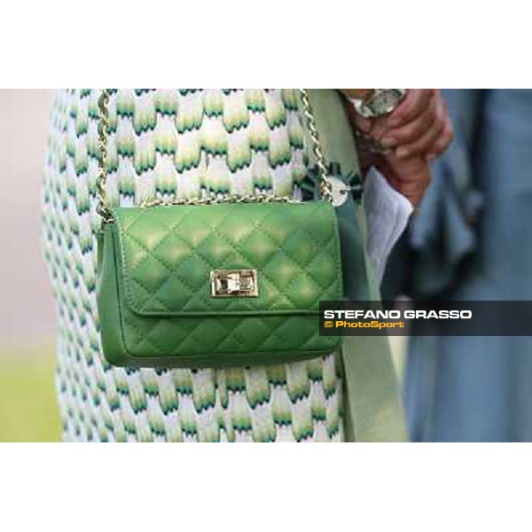 A touch of green Milano-San Siro Racecourse,28th sept.2014 ph.Stefano Grasso/Trenno srl