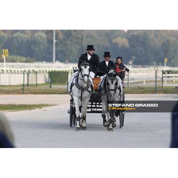 A touch of green Milano-San Siro Racecourse,28th sept.2014 ph.Stefano Grasso/Trenno srl