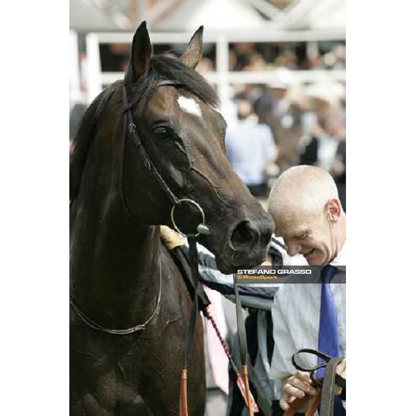 close up for Arakan winner of the VC Bet City of York Stakes York, The Ebor Festival 18th august 2005 ph. Stefano Grasso