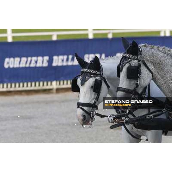 A touch of green Milano-San Siro Racecourse,28th sept.2014 ph.Stefano Grasso/Trenno srl