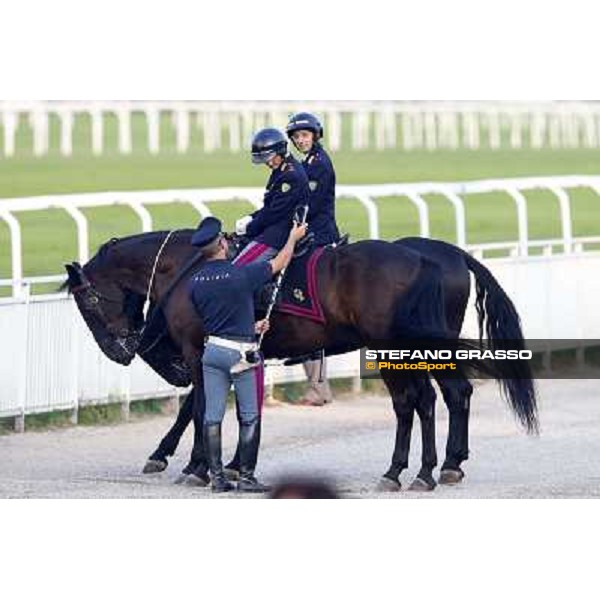 A touch of green Milano-San Siro Racecourse,28th sept.2014 ph.Stefano Grasso/Trenno srl