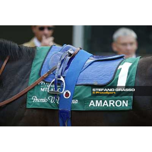 A touch of green Milano-San Siro Racecourse,28th sept.2014 ph.Stefano Grasso/Trenno srl