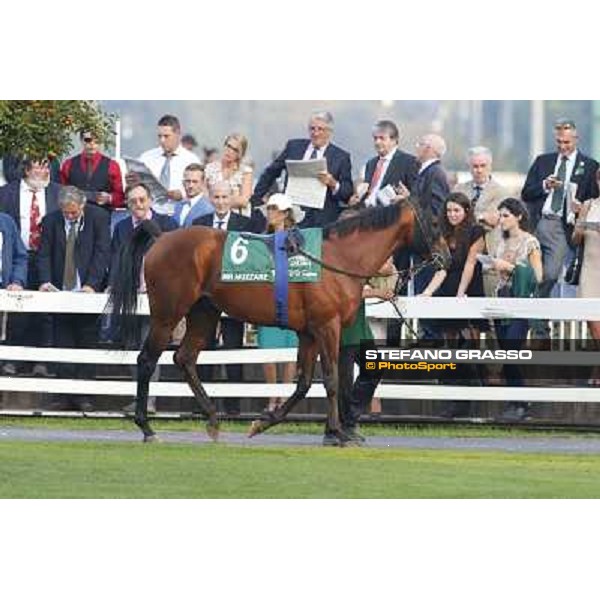 A touch of green Milano-San Siro Racecourse,28th sept.2014 ph.Stefano Grasso/Trenno srl