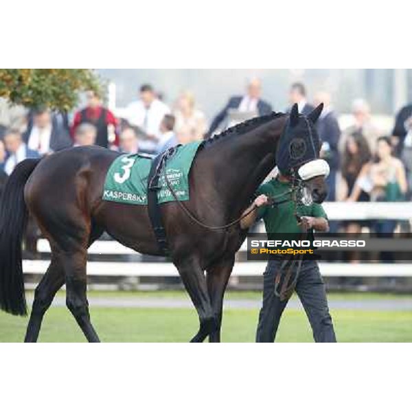 A touch of green Milano-San Siro Racecourse,28th sept.2014 ph.Stefano Grasso/Trenno srl