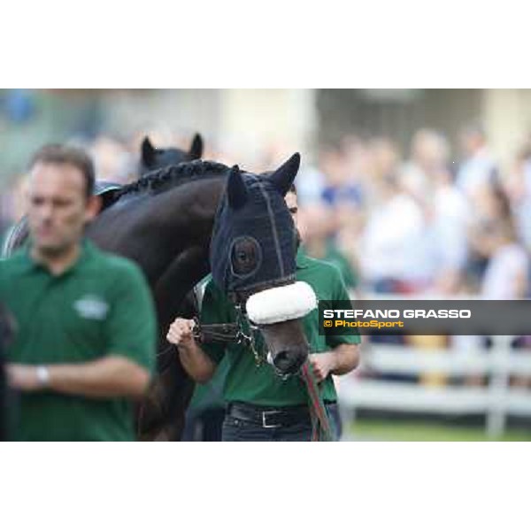 A touch of green Milano-San Siro Racecourse,28th sept.2014 ph.Stefano Grasso/Trenno srl