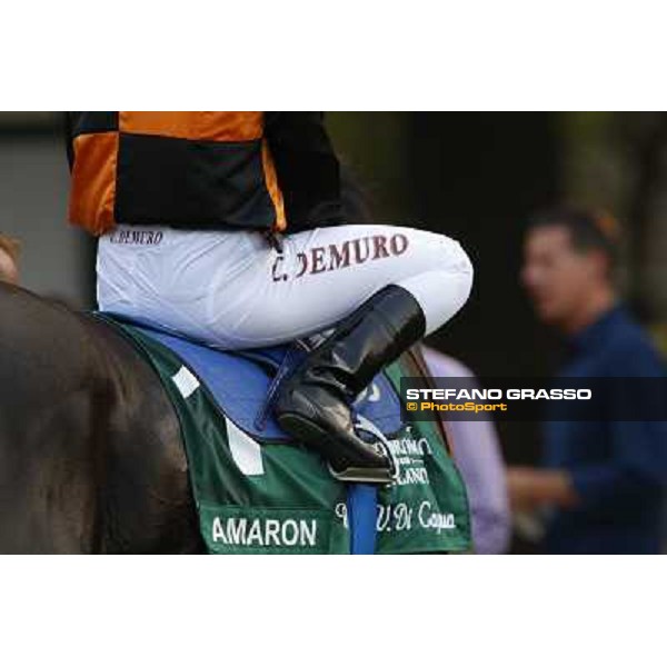 A touch of green Milano-San Siro Racecourse,28th sept.2014 ph.Stefano Grasso/Trenno srl