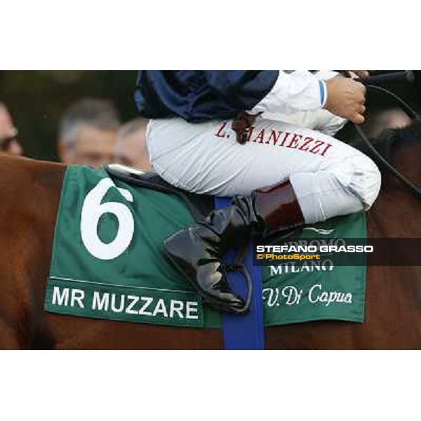 A touch of green Milano-San Siro Racecourse,28th sept.2014 ph.Stefano Grasso/Trenno srl