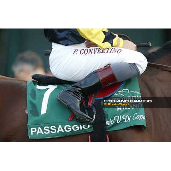 A touch of green Milano-San Siro Racecourse,28th sept.2014 ph.Stefano Grasso/Trenno srl