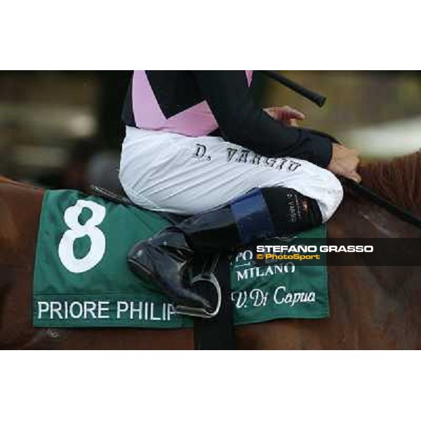 A touch of green Milano-San Siro Racecourse,28th sept.2014 ph.Stefano Grasso/Trenno srl